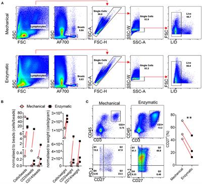 Inside the Joint of Inflammatory Arthritis Patients: Handling and Processing of Synovial Tissue Biopsies for High Throughput Analysis